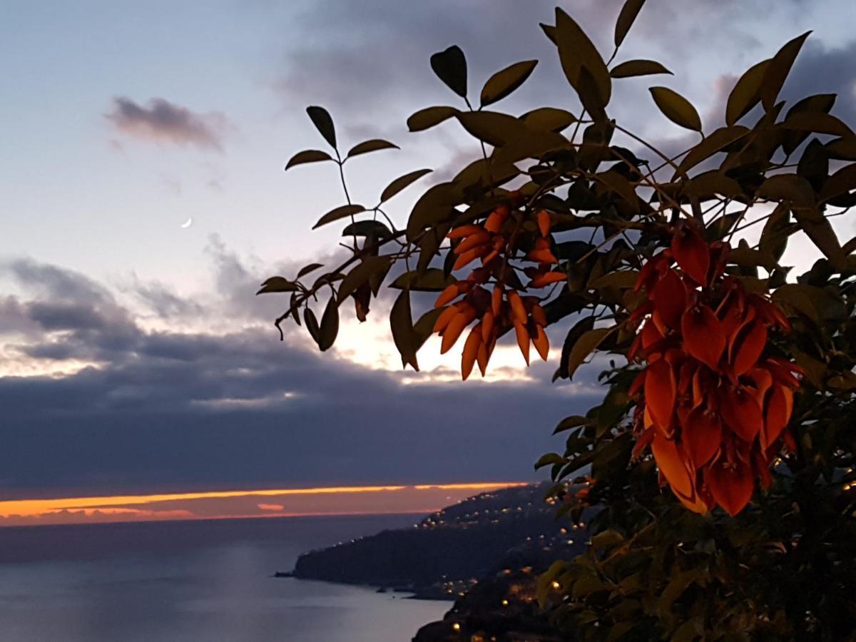 Casa Atlantico Dachterrassengeschoss Lejlighed Ribeira Brava Eksteriør billede